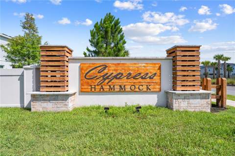 1259 Wispy Cypress Drive, Kissimmee FL - photo 11 of 77