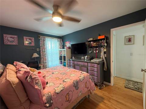 10009 Regal Woods Lane, Tampa FL - photo 9 of 54