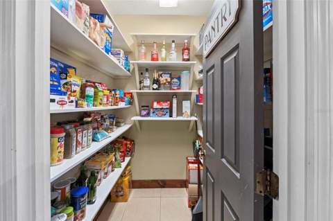 32137 Wolf Branch Lane, Sorrento FL - photo 14 of 85