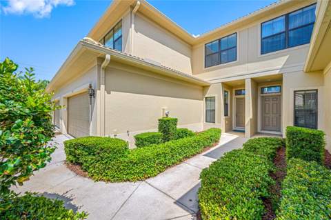 2527 Silverback Court, Palm Harbor FL - photo 6 of 6