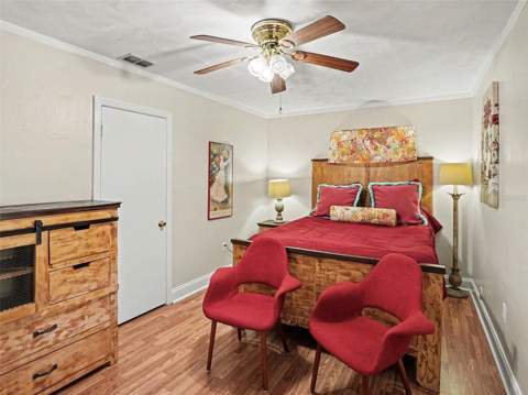 315 W 11th Avenue, Mount Dora FL - photo 18 of 31