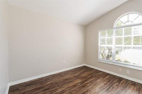 23211 Bayou Grove Street, Land O Lakes FL - photo 7 of 15
