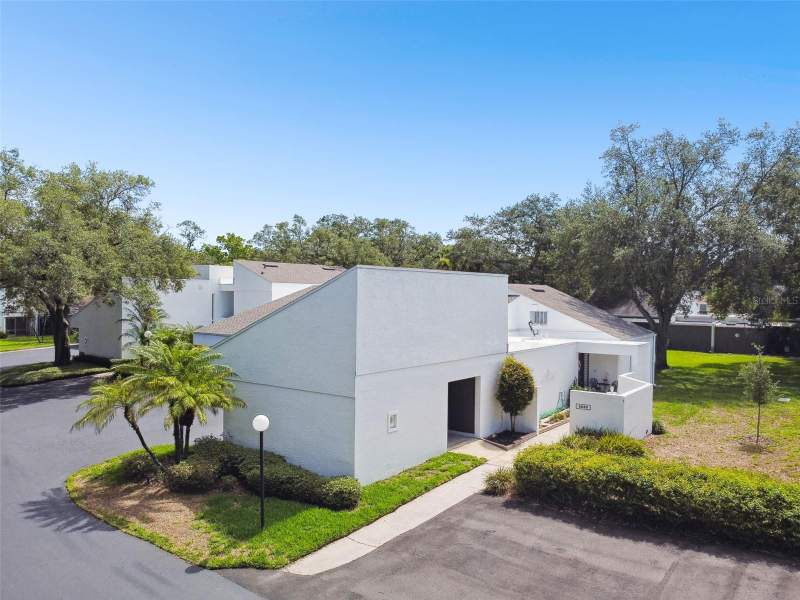 Carrollwood Village Cypress Cl