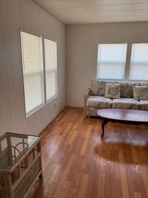 3350 Courtney Drive, Holiday FL - photo 6 of 25