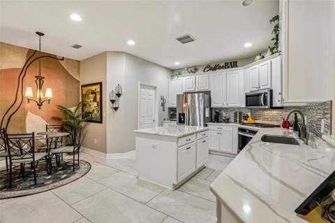 27443 Mistflower Drive, Wesley Chapel FL - photo 12 of 46