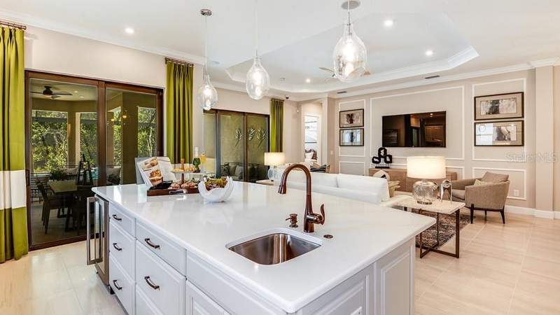 3 bedroom Single Family Residence at 29668 Imperati Boulevard, Esplanade At Wiregrass Ranch, Wesley Chapel — photo 5
