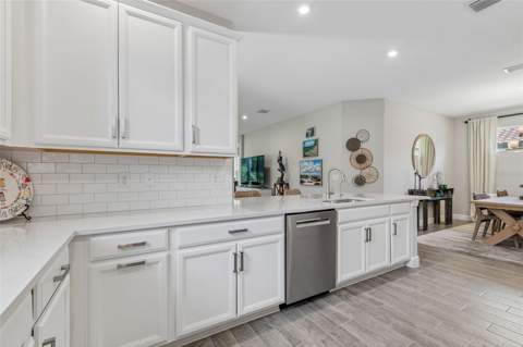 4333 Cairoli Court, Wesley Chapel FL - photo 6 of 99