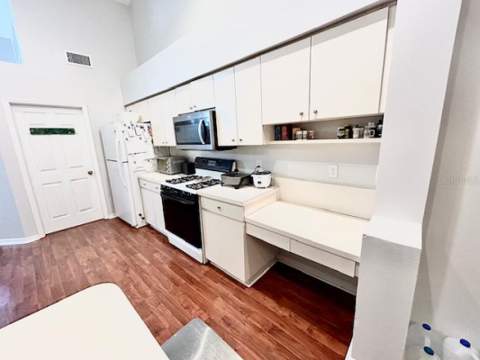1135 Big Sky Drive, Wesley Chapel FL - photo 13 of 30