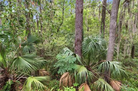 1732 NW 8th Avenue, Gainesville FL - photo 22 of 65