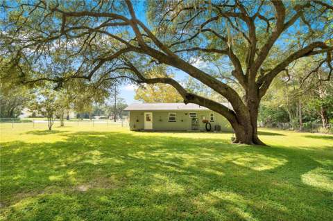 705 NE 44th Avenue, Ocala FL - photo 22 of 32