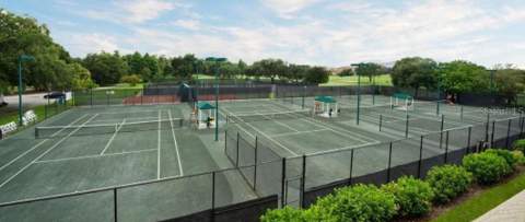 1558 Sandhill Court, Palm Harbor FL - photo 18 of 29