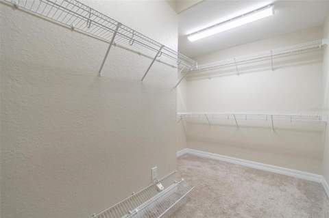 539 Treviso Drive, Apollo Beach FL - photo 16 of 30