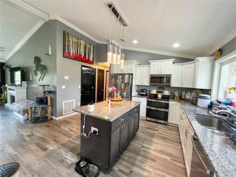 13591 SE 85th Place, Dunnellon FL - photo 6 of 6