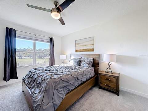 348 Talisi Loop, St Cloud FL - photo 18 of 27