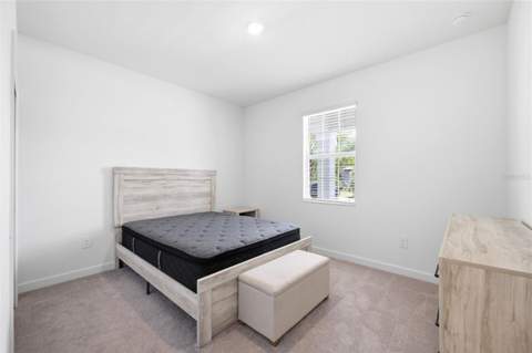 9776 Minnow Ray Drive, Land O Lakes FL - photo 21 of 44