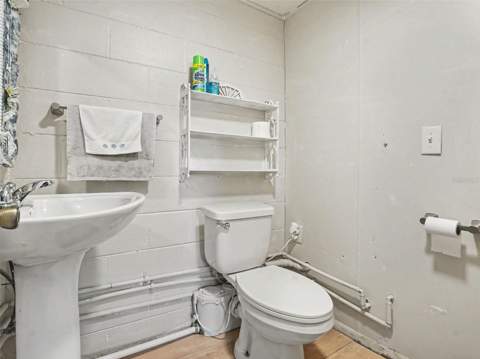 315 W 11th Avenue, Mount Dora FL - photo 23 of 31