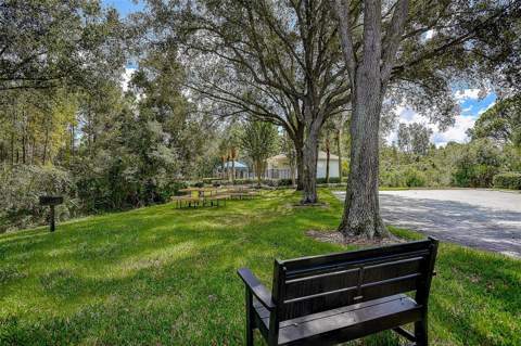 10109 Mowry Lane, Tampa FL - photo 23 of 25
