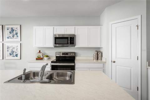 8860 Wildflower Field Lane, Wildwood FL - photo 6 of 17