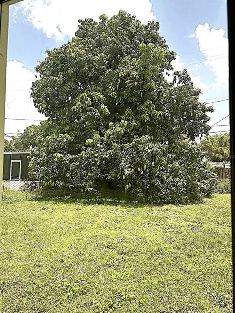 803 Haskell Avenue, Orlando FL - photo 18 of 18