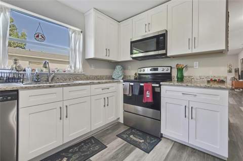 1815 E Seward Street, Tampa FL - photo 13 of 41