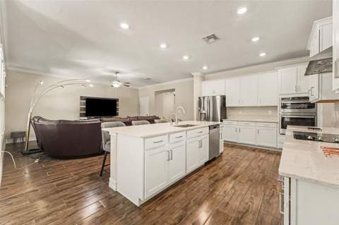 21590 Violet Periwinkle Drive, Land O Lakes FL - photo 13 of 50