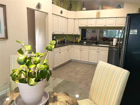 18505 Grand Club Drive, Hudson FL - photo 10 of 44