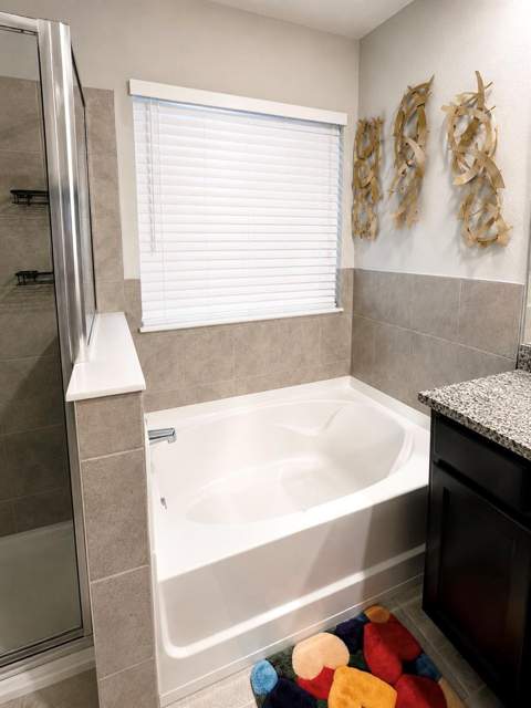 3817 Sunny Spring Street, Plant City FL - photo 11 of 12