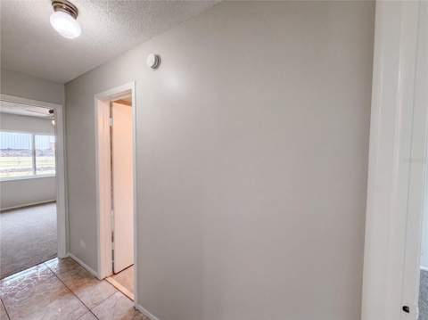 11312 Possum Trail, Port Richey FL - photo 16 of 30