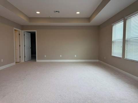 7749 Bronze Oak Drive, Wesley Chapel FL - photo 8 of 38