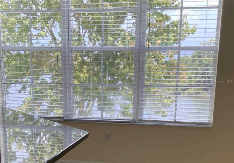 3 bedroom Townhouse at 2401 Lexington Oak Drive, Lake Brandon Prcl 113, Brandon — photo 5