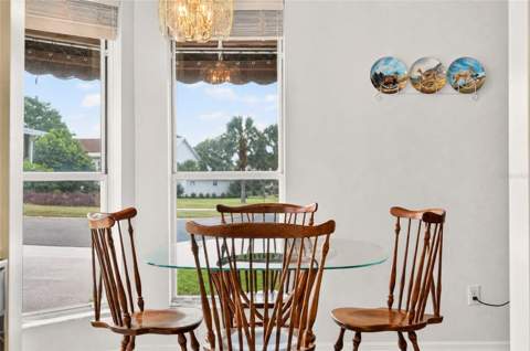 1207 Palmetto Drive, The Villages FL - photo 10 of 71