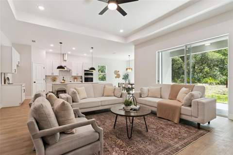 41650 Ligustrum Street, Eustis FL - photo 9 of 45