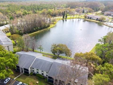 3101 Lake Pine Way #A1, Tarpon Springs FL - photo 23 of 50