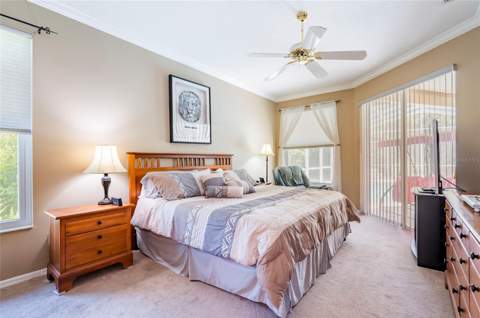 22754 Magnolia Trace Boulevard, Lutz FL - photo 10 of 56