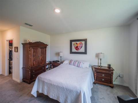 4885 Panga Avenue, Mount Dora FL - photo 10 of 25