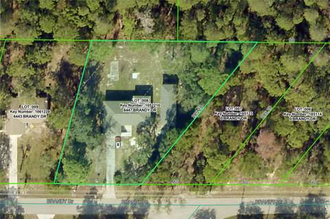 6447 Brandy Drive, Spring Hill FL - photo 22 of 25