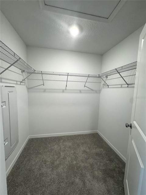 10149 Trumpet Honeysuckle Way, San Antonio FL - photo 24 of 33