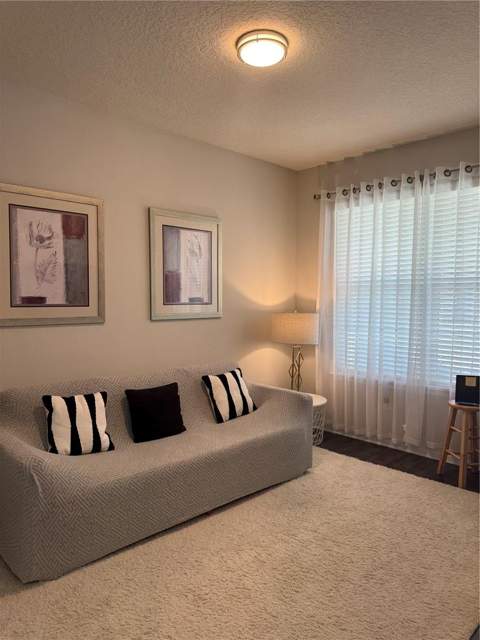 2514 Nouveau Way, Kissimmee FL - photo 6 of 23