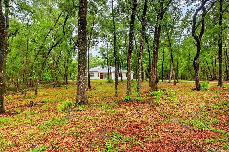 5 bedroom Single Family Residence at 7550 SW 185th Circle, Rainbow Spgs, Dunnellon — photo 2