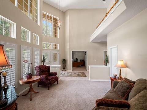 17422 Heather Oaks Place, Tampa FL - photo 10 of 78