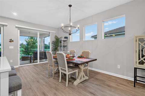 11627 Myakka Blue Drive, Venice FL - photo 9 of 77