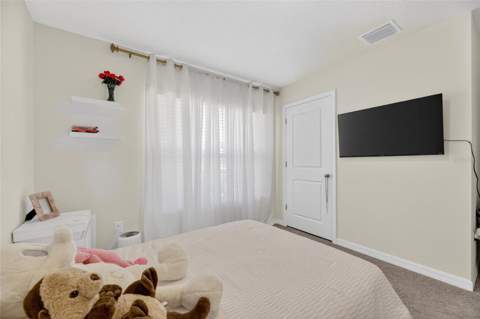 3255 Silver Date Drive, Wimauma FL - photo 12 of 80