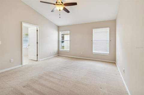 353 Bay Arbor Boulevard, Oldsmar FL - photo 20 of 29