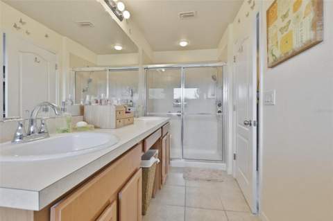 8718 Turnstone Haven Place, Tampa FL - photo 20 of 38