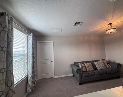 405 Serenity Mill Loop, Ruskin FL - photo 14 of 50
