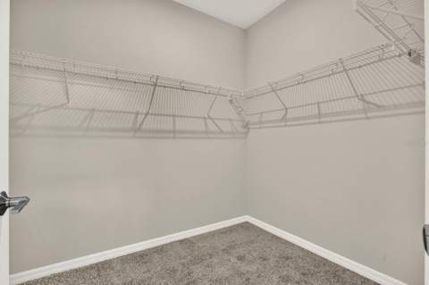 13729 Rangeland Boulevard, Odessa FL - photo 13 of 35