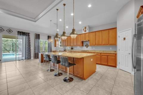15409 Starling Crossing Drive, Lithia FL - photo 6 of 6