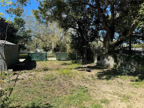 5647 19th Street, Zephyrhills FL - photo 9 of 9
