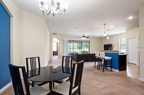 1392 Dolphin Head Street, Davenport FL - photo 12 of 35