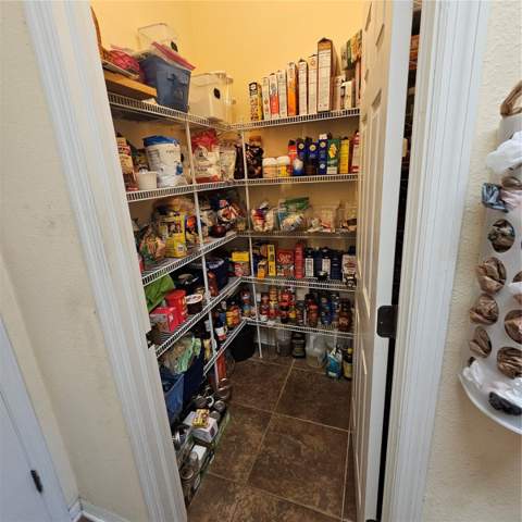 7306 Bridgeview Drive, Wesley Chapel FL - photo 19 of 59